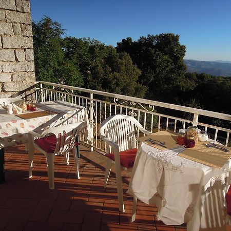 Hostal Casa Solotti Nuoro  Exterior foto