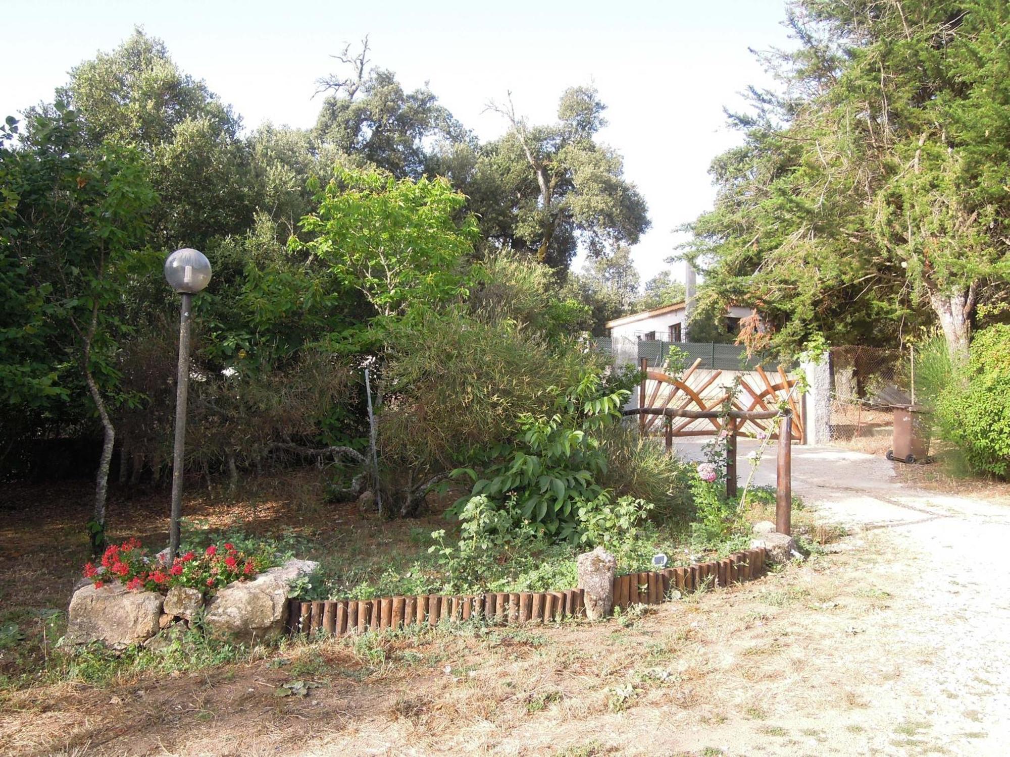 Hostal Casa Solotti Nuoro  Exterior foto