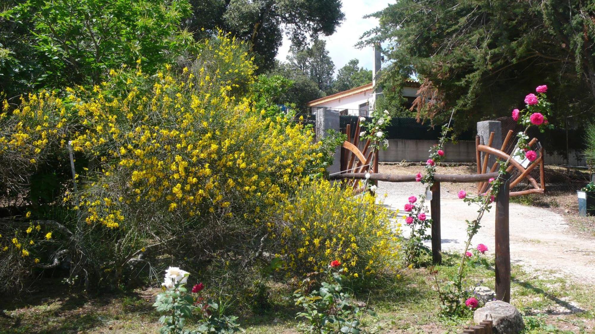 Hostal Casa Solotti Nuoro  Exterior foto